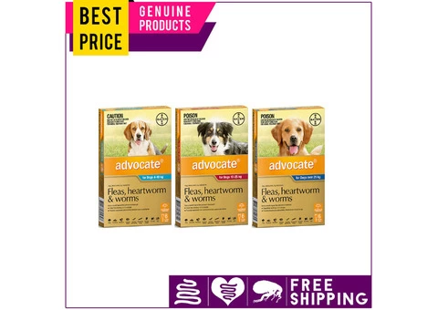 Advocate can help you get rid of potentially lethal fleas, worms, and heartworms.