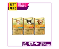 Advocate can help you get rid of potentially lethal fleas, worms, and heartworms.