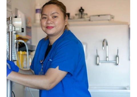 Spotless and Safe: Professional School Cleaners in Brisbane