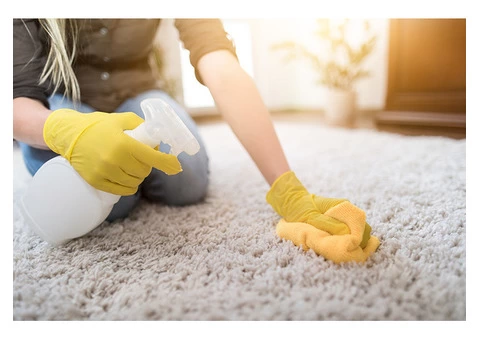 Micks Carpet Cleaning Sydney - 3/6