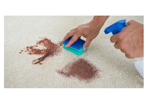 Micks Carpet Cleaning Sydney - 4/6