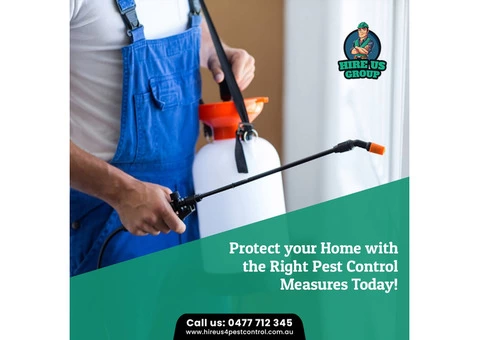 Control and Remove Bird Infestations Safely with Bird Control Services in Melbourne
