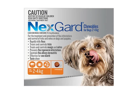 Buy Nexgard Chewables for Dogs : Nexgard Flea And Tick Chew