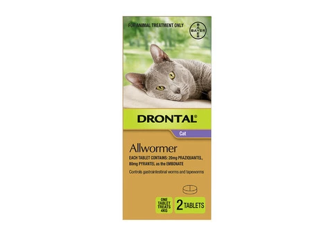 Buy Drontal All wormer for Cats and Kittens