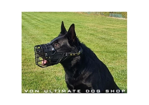 Soft leather dog muzzle in Australia - 1/4