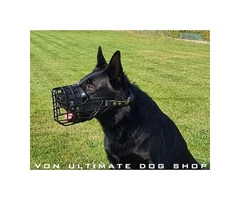 Soft leather dog muzzle in Australia