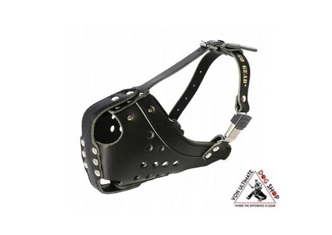 Soft leather dog muzzle in Australia - 2/4