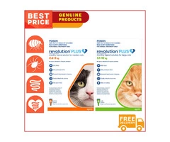 Revolution Plus for Cats 6 pack is the best product for the Heartworm Flea Tick Prevention.