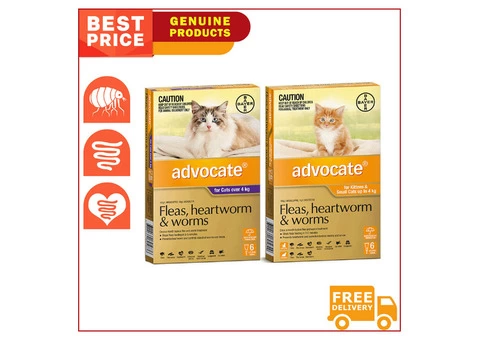 ADVOCATE for All Sizes Cats, saviour for the cats with fleas