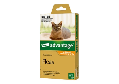 Advantage for Cats | Advantage cat flea control | Bayer Advantage Cats