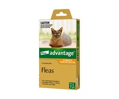 Advantage for Cats | Advantage cat flea control | Bayer Advantage Cats