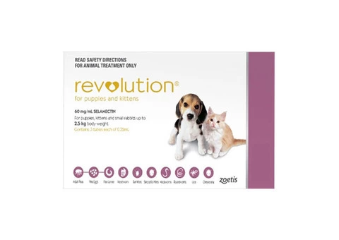 Revolution for Cats | Revolution Flea & Worm Control for Cats