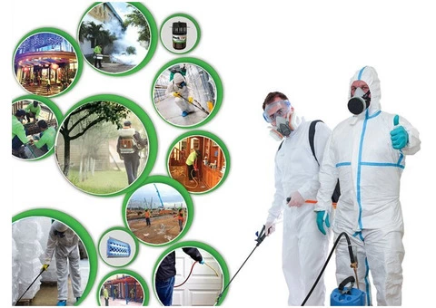Pest control in Melbourne - 2/3
