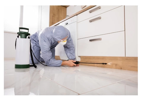 Pest control in Melbourne - 3/3