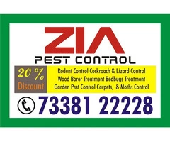 Zia Pest Control | Cockroach and bed bug service 3 months warranty | 1283
