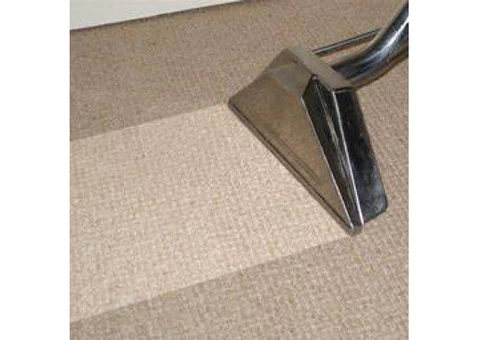 Professional Carpet Cleaner on the Sunshine Coast