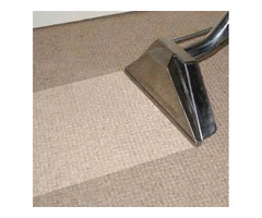 Professional Carpet Cleaner on the Sunshine Coast