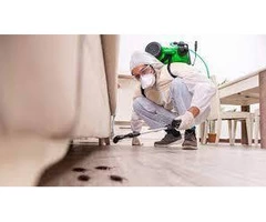Flatline Pest Control - Central Coast Pest Control