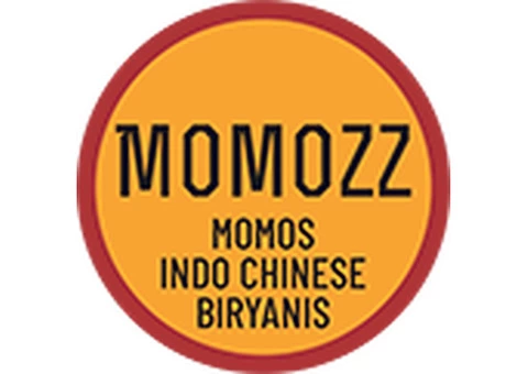Exploring the Fusion of Indian and Chinese Flavors: A Culinary Journey through Indo Chinese Cuisine