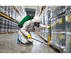 Competitive Commercial Pest Control Services