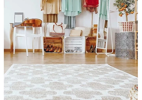 Expert Flood Damage Cleaning Services to Reduce Threat to Your Living Space