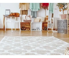 Expert Flood Damage Cleaning Services to Reduce Threat to Your Living Space