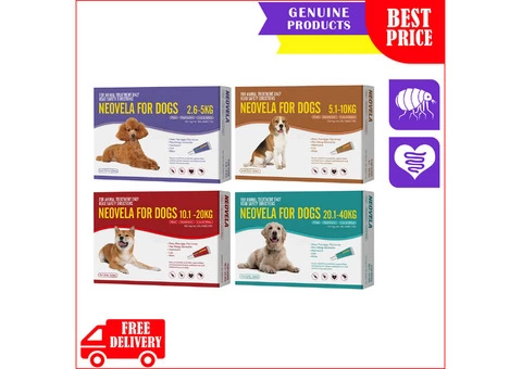 Check out Neovela for dogs for Flea infestations