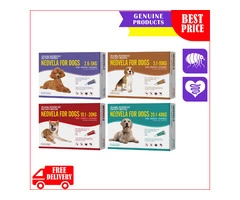 Check out Neovela for dogs for Flea infestations