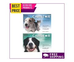 Quick to act Flea Treatment for dogs and cats