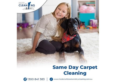 Same Day Carpet Cleaning