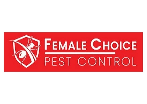 Pest Control In Brisbane: We Are Available 24/7