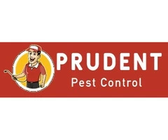 Prudent Pest Control Melbourne - Same-Day Services