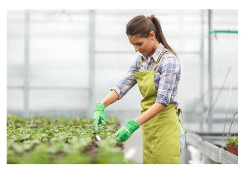 Enrol Yourself to a Diploma of Horticulture Course in Brisbane