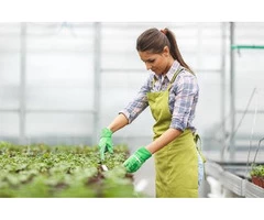 Enrol Yourself to a Diploma of Horticulture Course in Brisbane