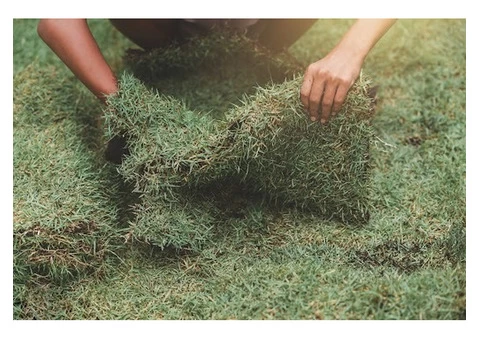 Fake Grass Installation