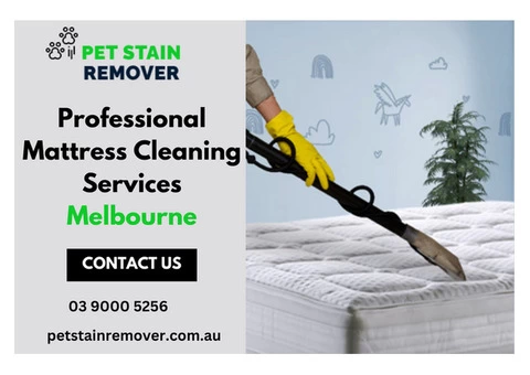 Professional Mattress Cleaning Services in Melbourne | Pet Stain Remover
