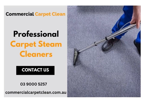 Professional Carpet Steam Cleaners Offers Sparkling Results | Commercial Carpet Cleaning