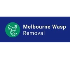 Professional Wasp Removal Services Melbourne