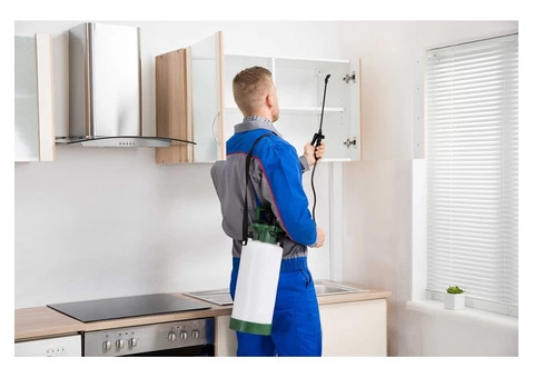 Best Pest Control Geelong
