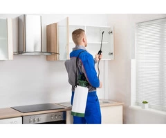 Best Pest Control Geelong