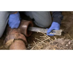 Sewer Tree Root Removal Services in Sydney by APT Plumbing