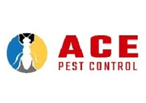 Ace Pest Control - Call The Marvellous Pest Control Experts In Brisbane