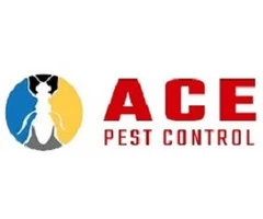 Ace Pest Control - Call The Marvellous Pest Control Experts In Brisbane
