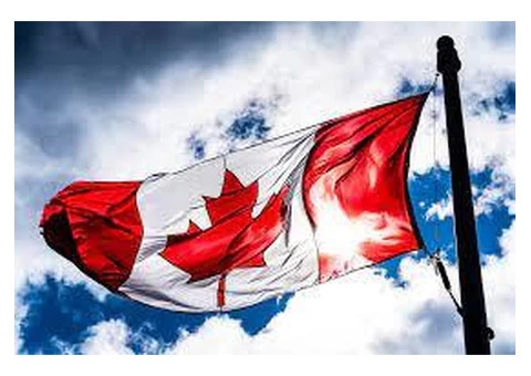 Best consultant for Study Visa Seacoast Immigration Solutions