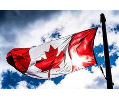 Best consultant for Study Visa Seacoast Immigration Solutions