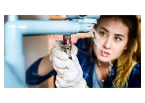 Drain Pipe Tree Root Removal Services Provider
