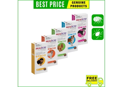 Bravecto for dogs is the best solution for the safety from flea and ticks