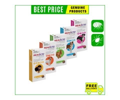Bravecto for dogs is the best solution for the safety from flea and ticks