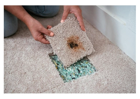 Invisible Carpet Repair Canberra - 1/5