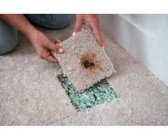 Invisible Carpet Repair Canberra